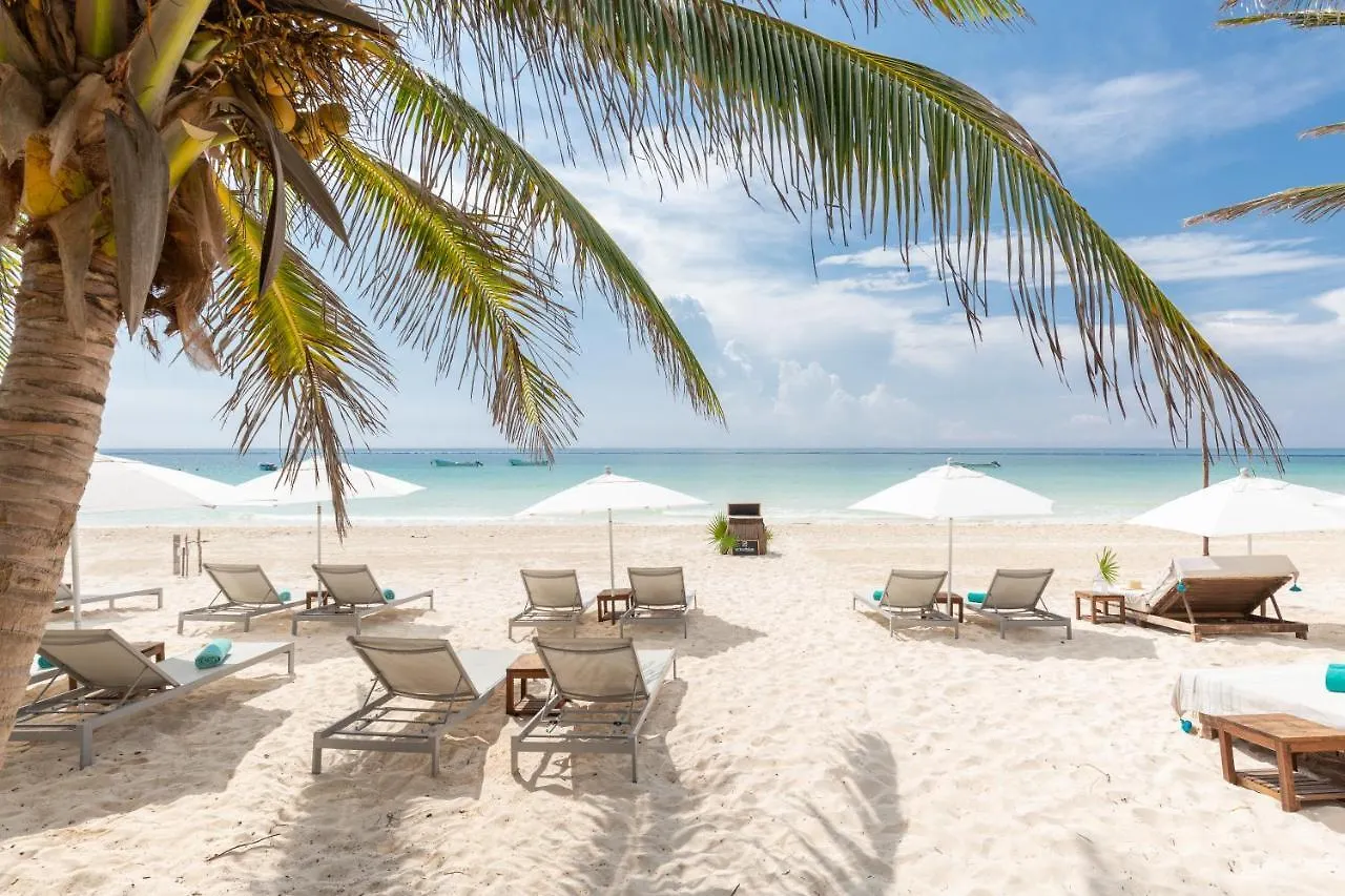 Cinco Tulum Hotel