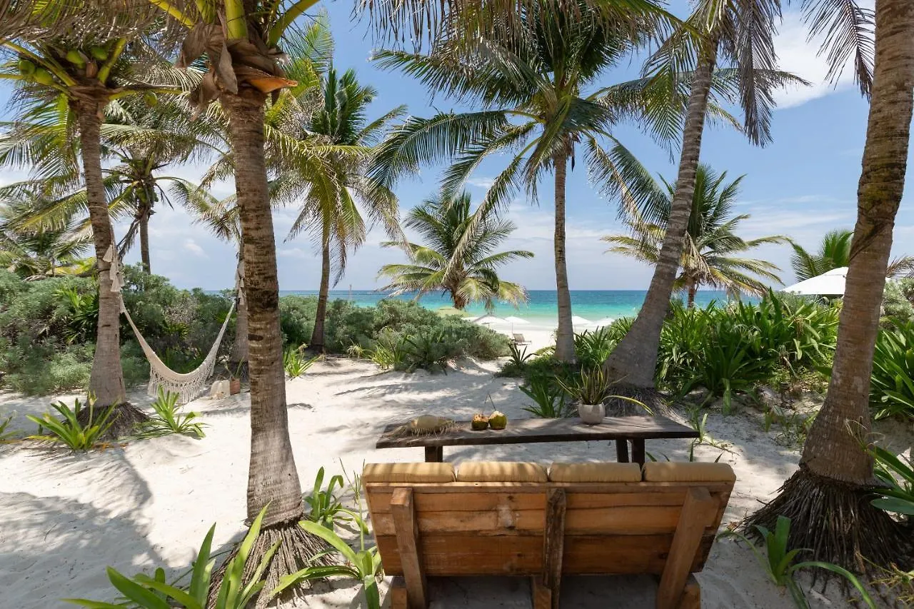 Hotel Cinco Tulum 0*,